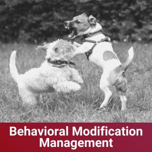 Behavioral Modification Management