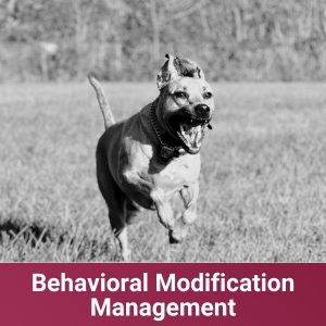 Behavioral Modification Management