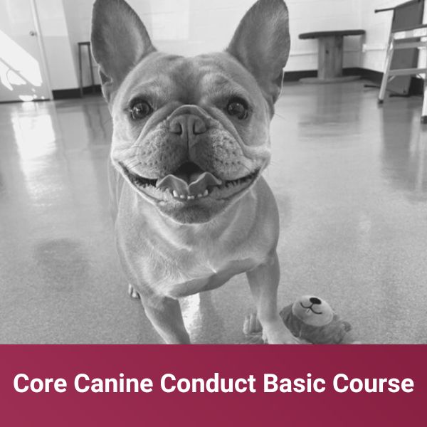 Core Canine Conduct Basic Course