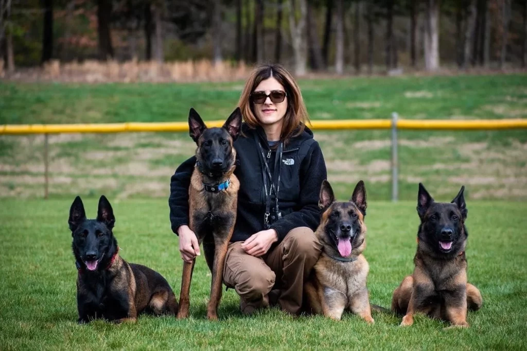 Dog aggression training Blacksburg VA trainer with dogs