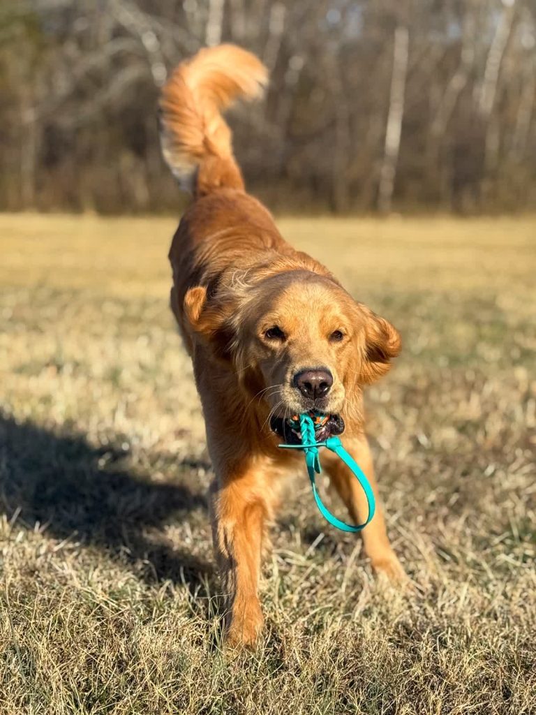 OWNER EDUCATION