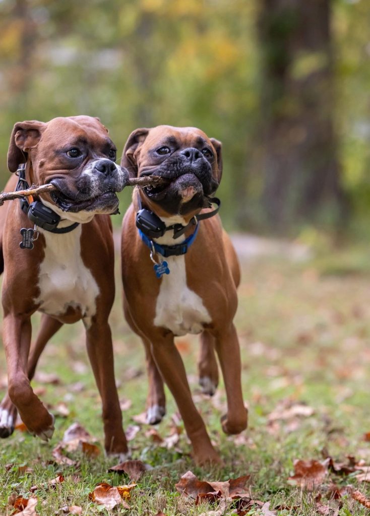 Socialization and Confidence